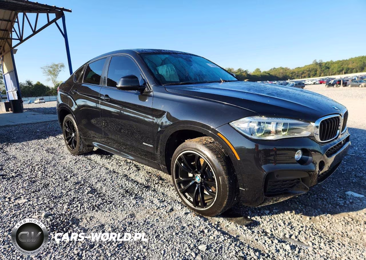 2015 BMW X6 xDrive35I VIN:5UXKU2C55F0F94885 - 4
