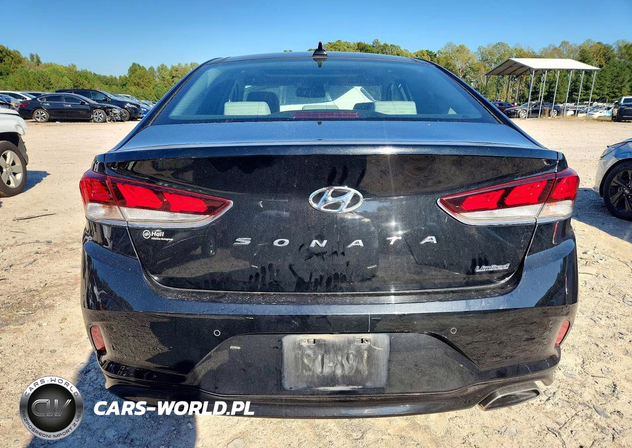 2019 Hyundai Sonata Limited VIN:5NPE34AF9KH735668 - 6