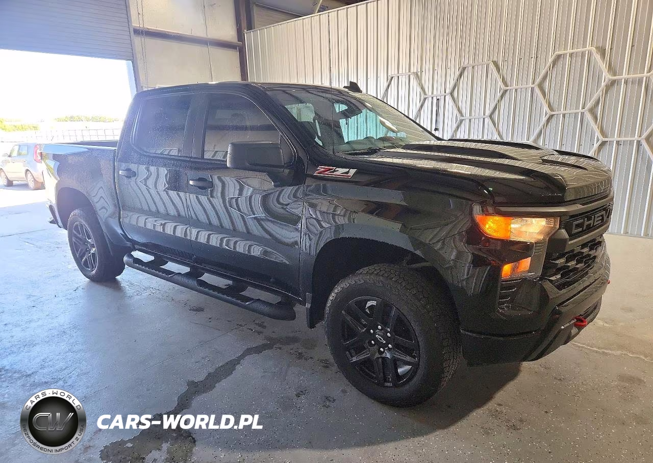 2024 Chevrolet Silverado K1500 Trail Boss Custom VIN:3GCUDCED4RG333975 - 4