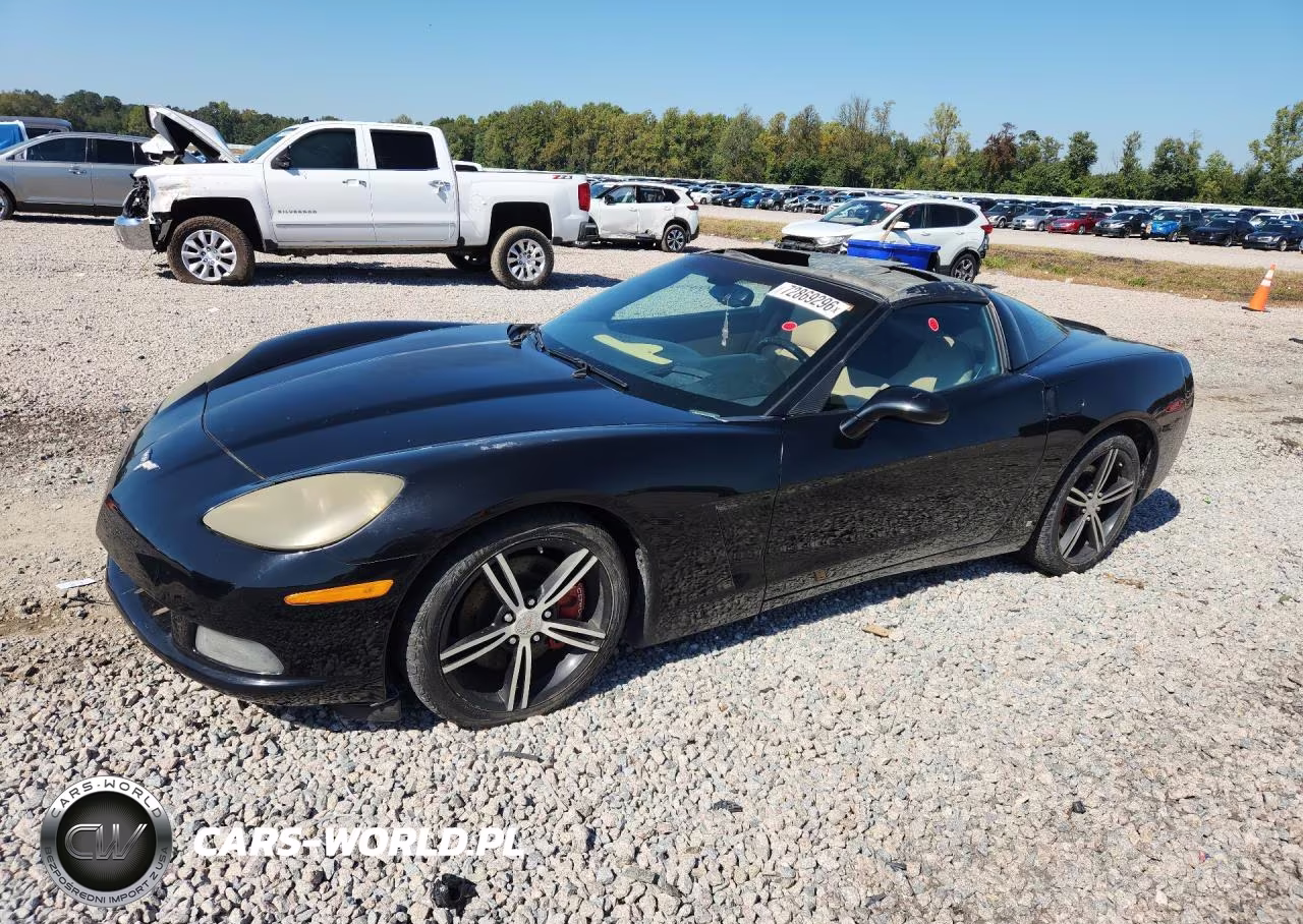 2005 Chevrolet Corvette VIN:1G1YY24U255108238 - 1