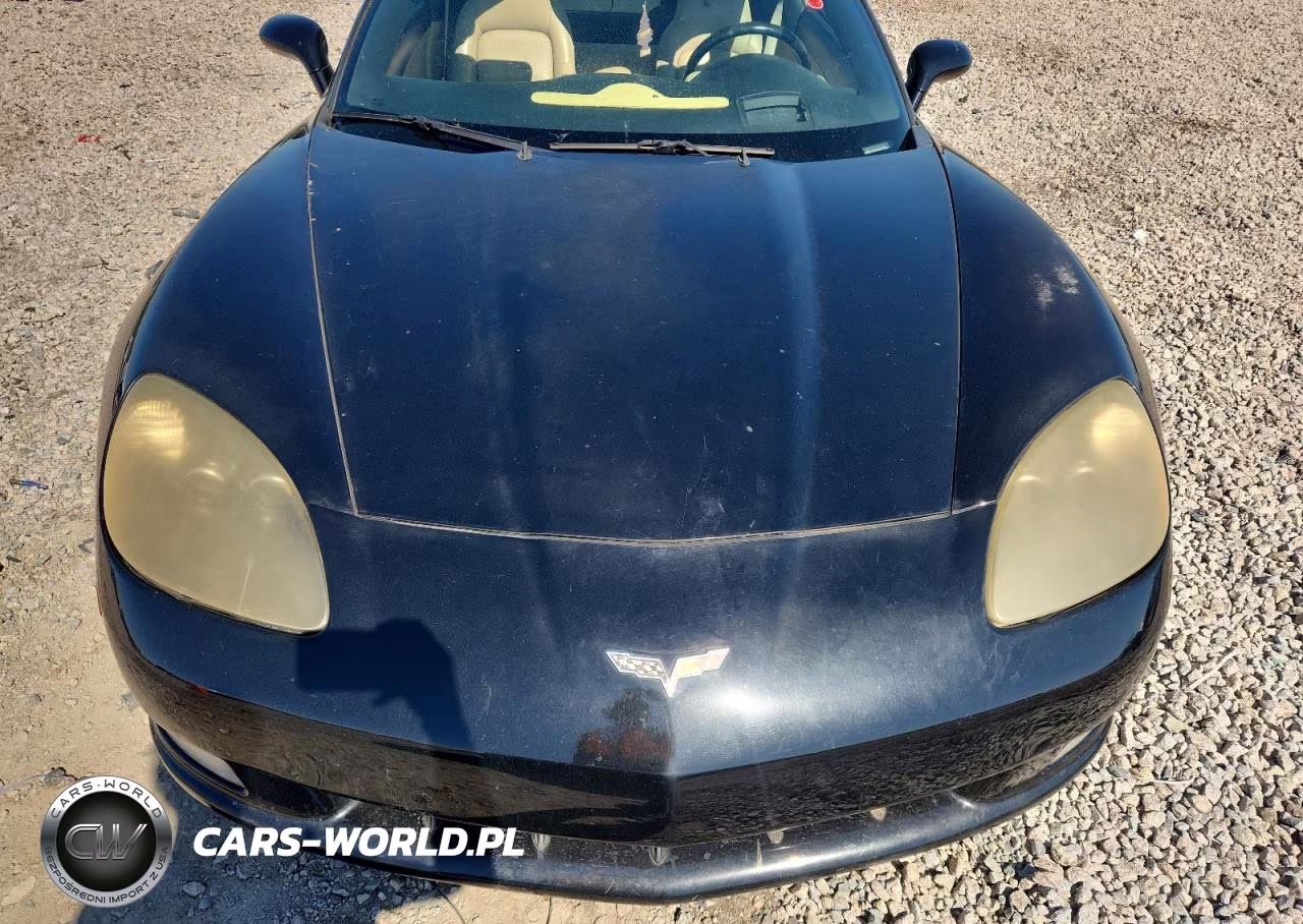 2005 Chevrolet Corvette VIN:1G1YY24U255108238 - 11