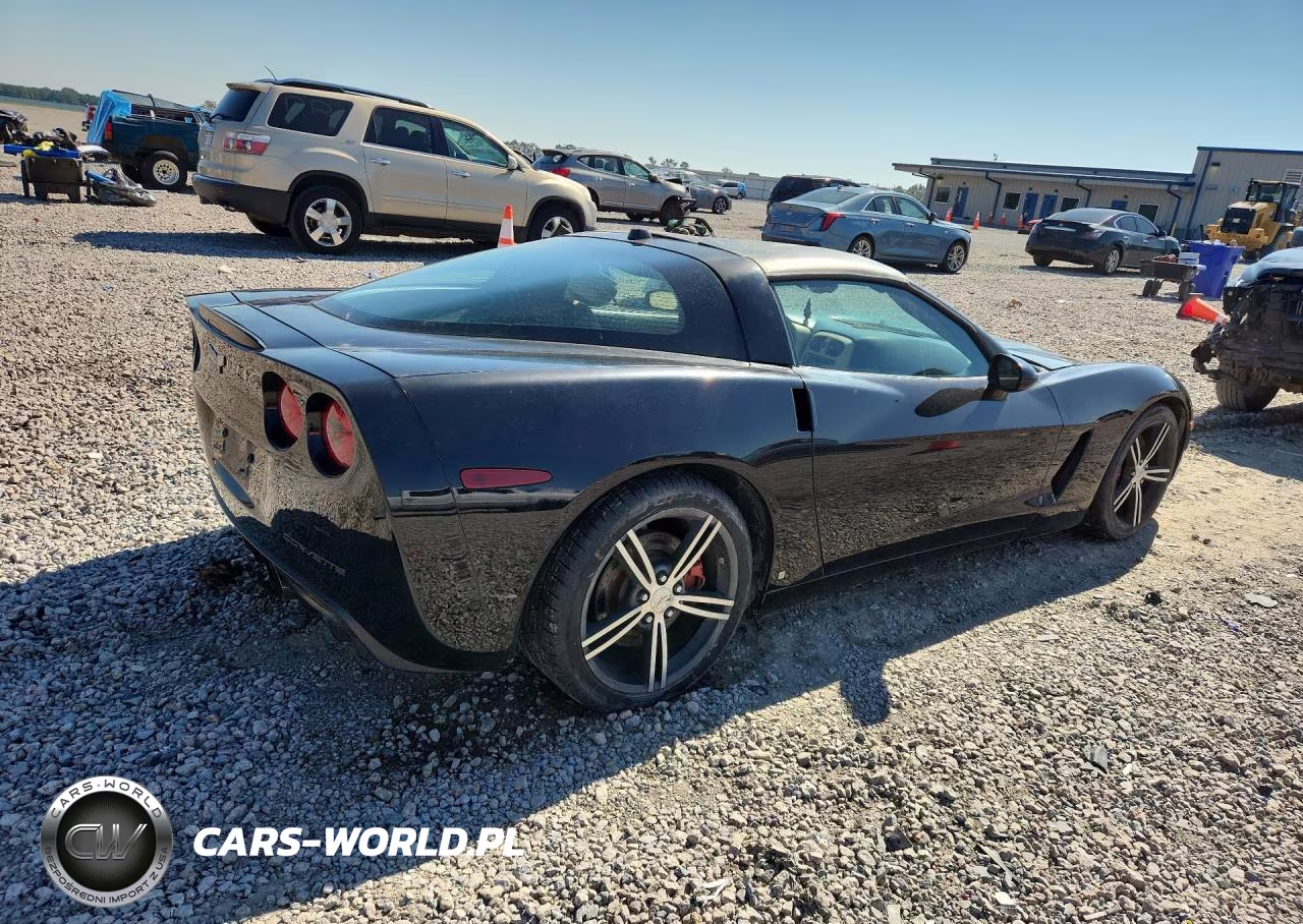 2005 Chevrolet Corvette VIN:1G1YY24U255108238 - 3