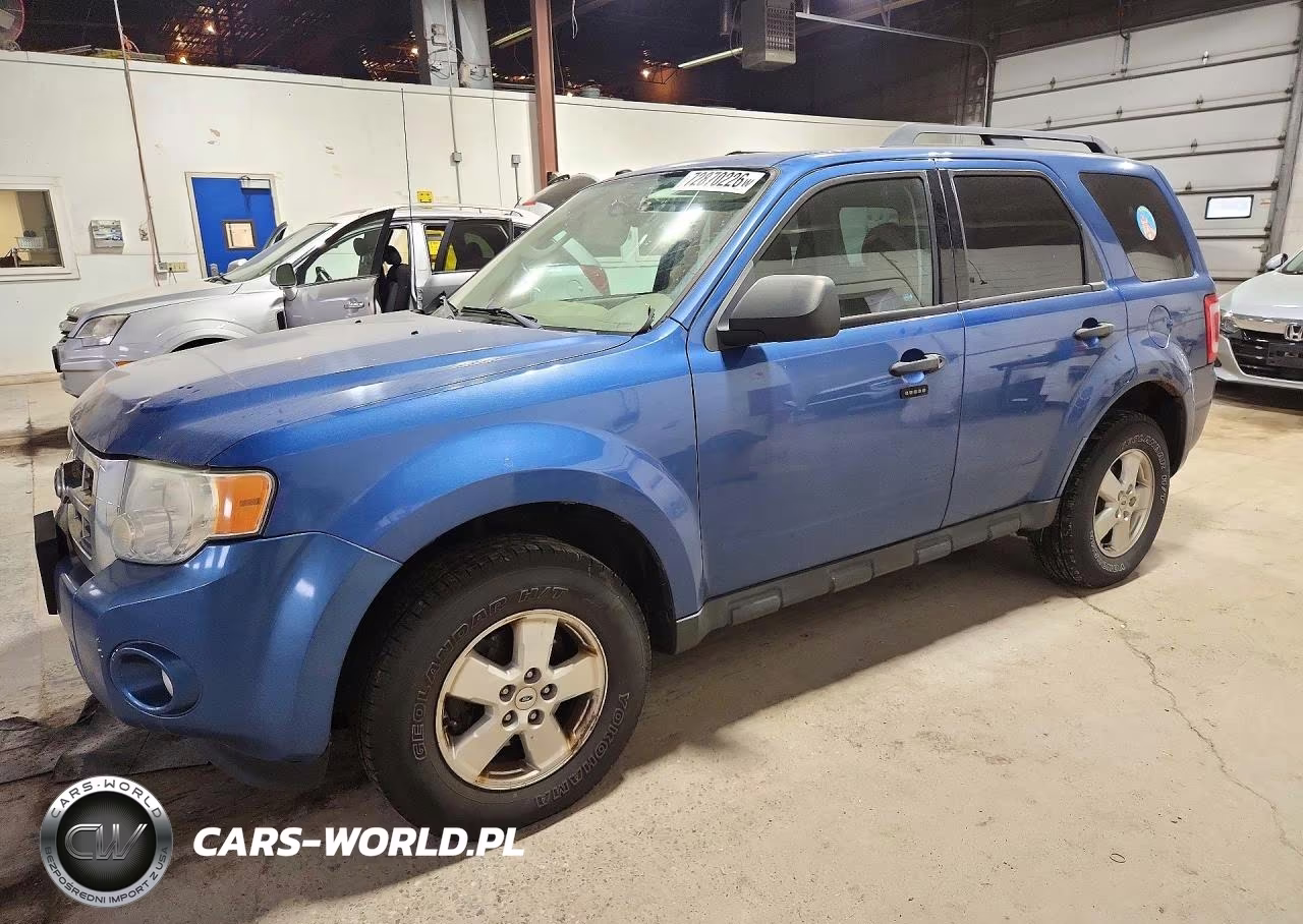 2010 Ford Escape Xlt