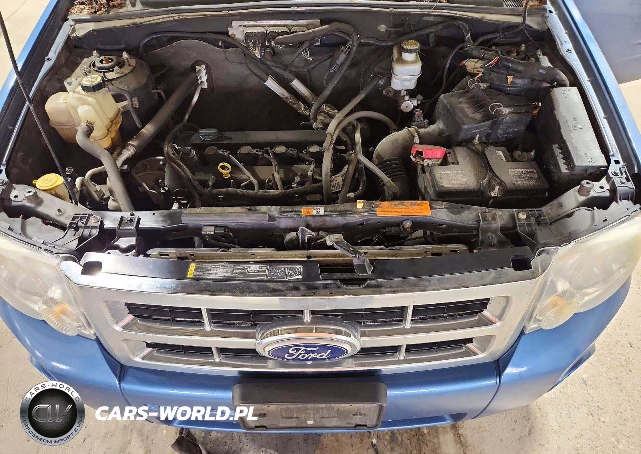 2010 Ford Escape Xlt VIN:1FMCU9D78AKA68917 - 12