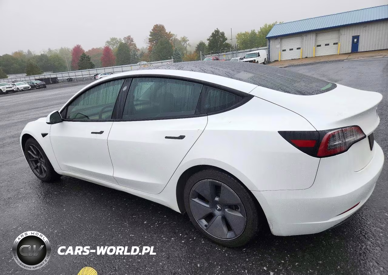 2023 Tesla Model 3 VIN:5YJ3E1EA4PF565322 - 2