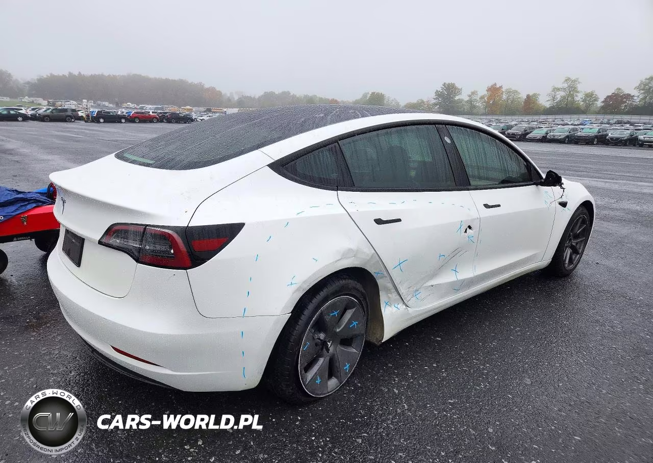 2023 Tesla Model 3 VIN:5YJ3E1EA4PF565322 - 3