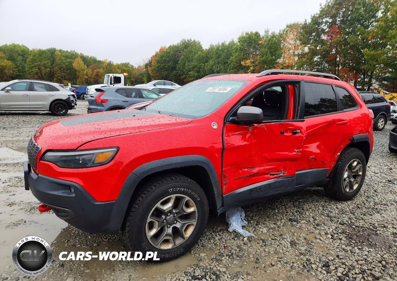 2019 Jeep Cherokee Trailhawk VIN:1C4PJMBX0KD314580 - 1