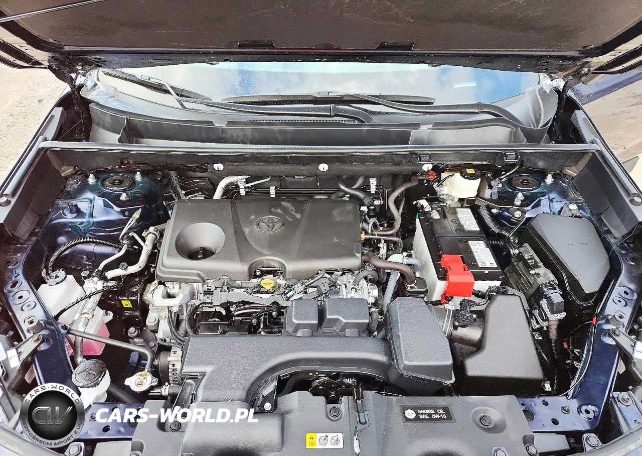 2025 Toyota Rav4 Xle VIN:2T3W1RFV0SW414280 - 11