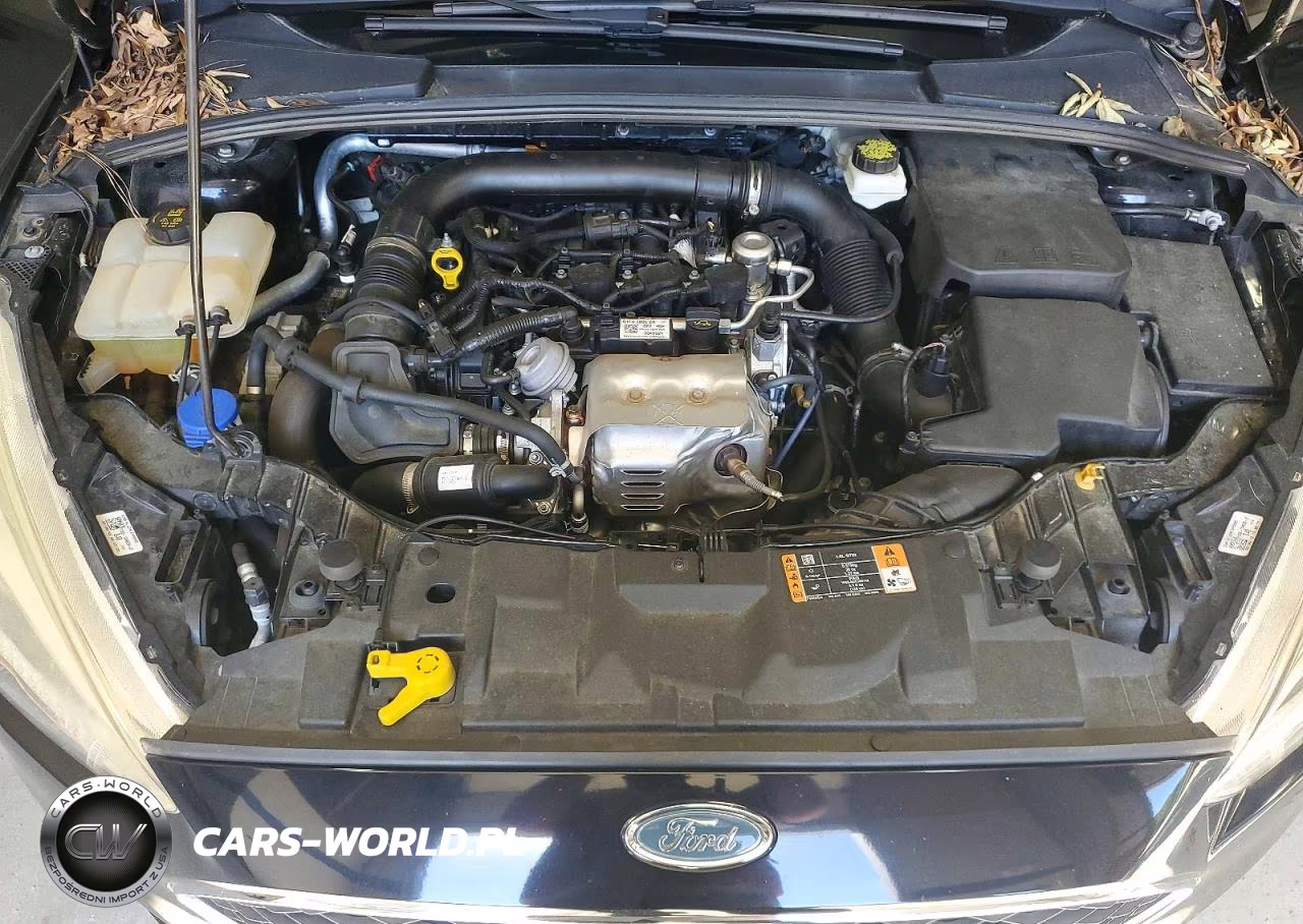 2018 Ford Focus Se VIN:1FADP3FE0JL266657 - 11