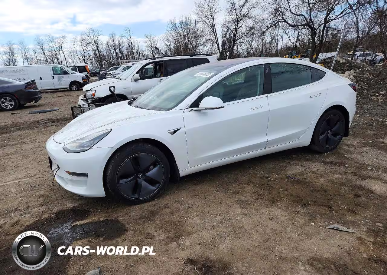 2019 Tesla Model 3 Long Range