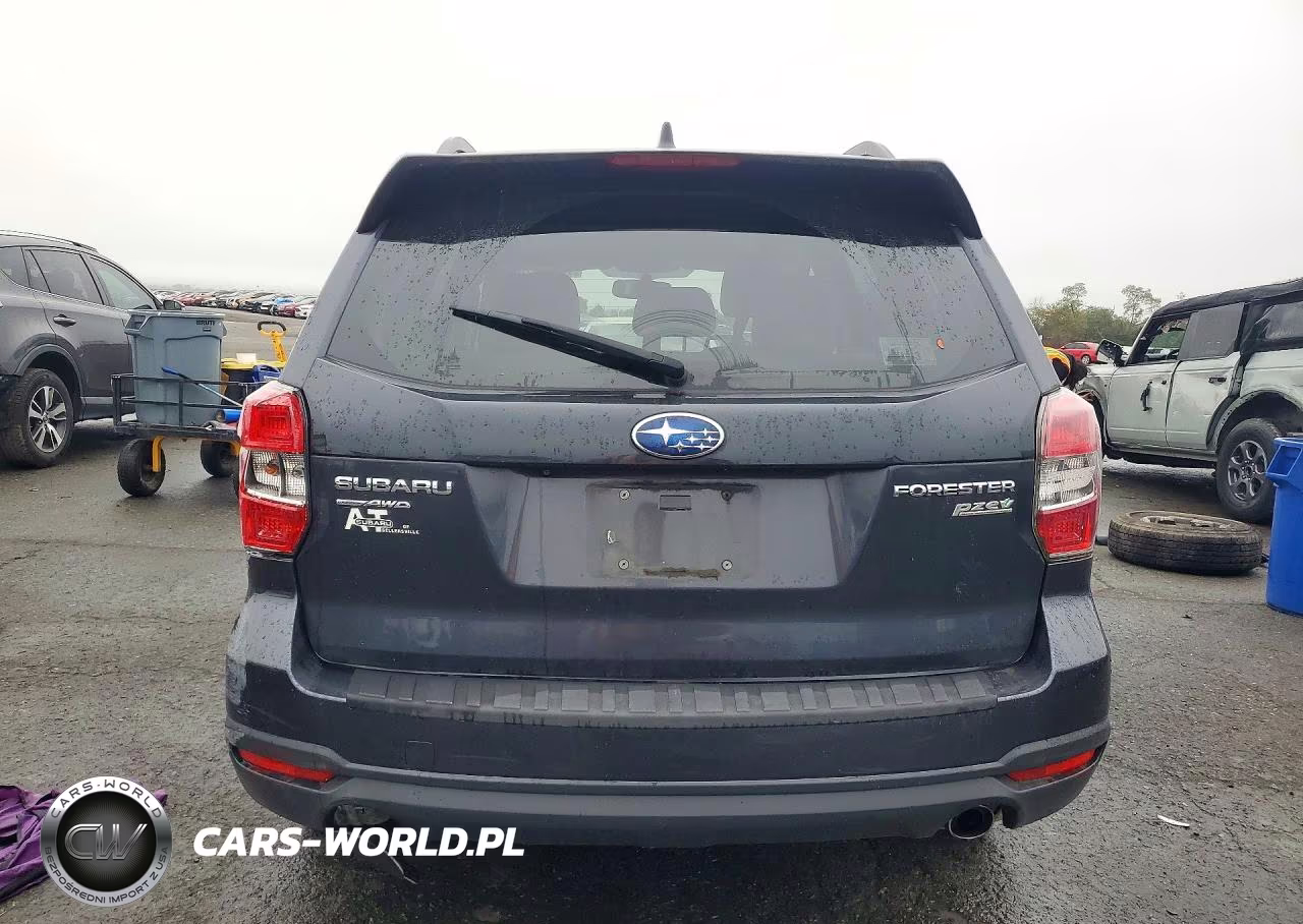 2016 Subaru Forester 2.5I Limited VIN:JF2SJAHC9GH409704 - 6