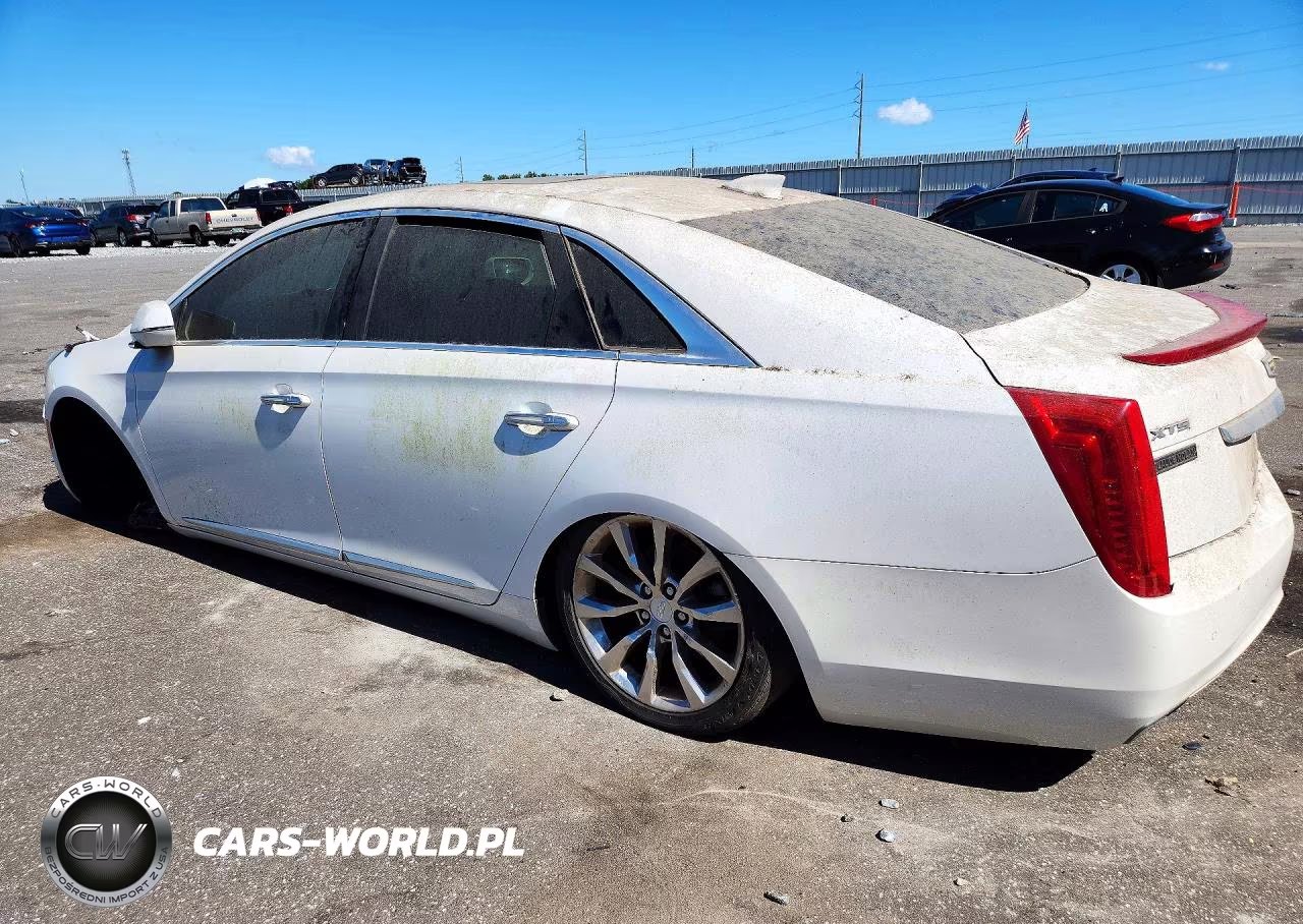 2016 Cadillac Xts Premium Collection VIN:2G61P5S31G9113091 - 2