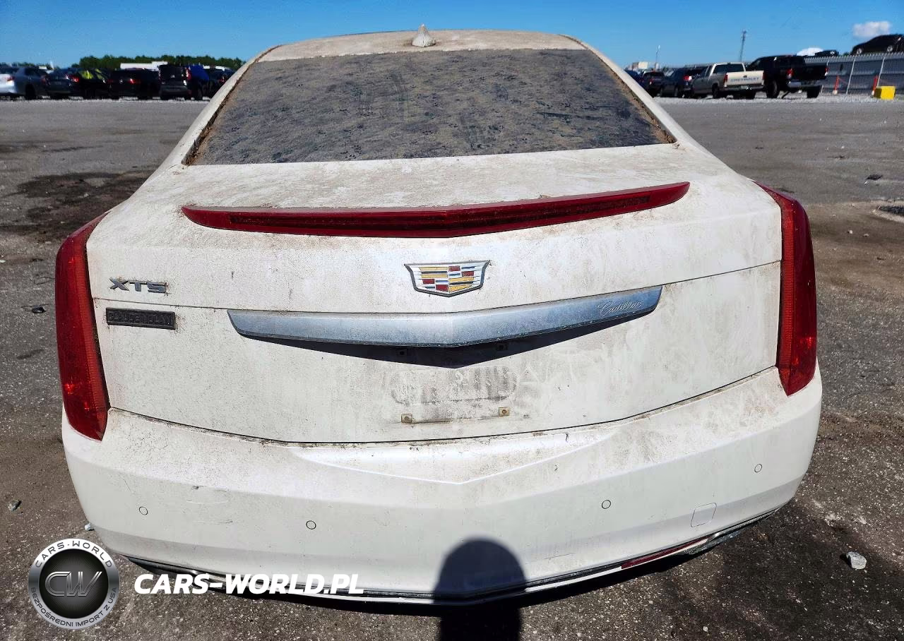 2016 Cadillac Xts Premium Collection VIN:2G61P5S31G9113091 - 6