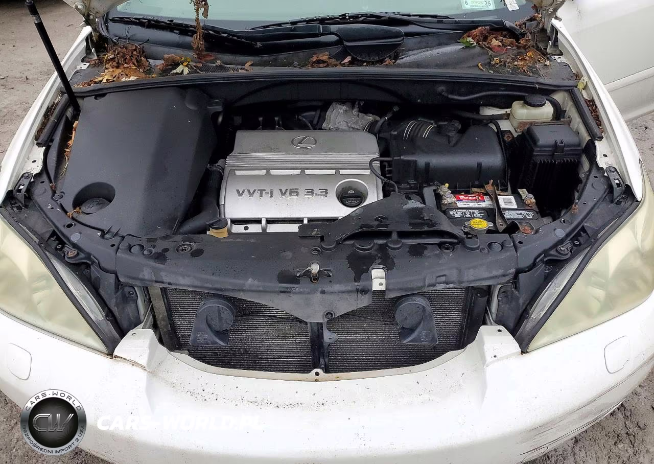 2004 Lexus Rx 330 VIN:JTJHA31U540018354 - 12