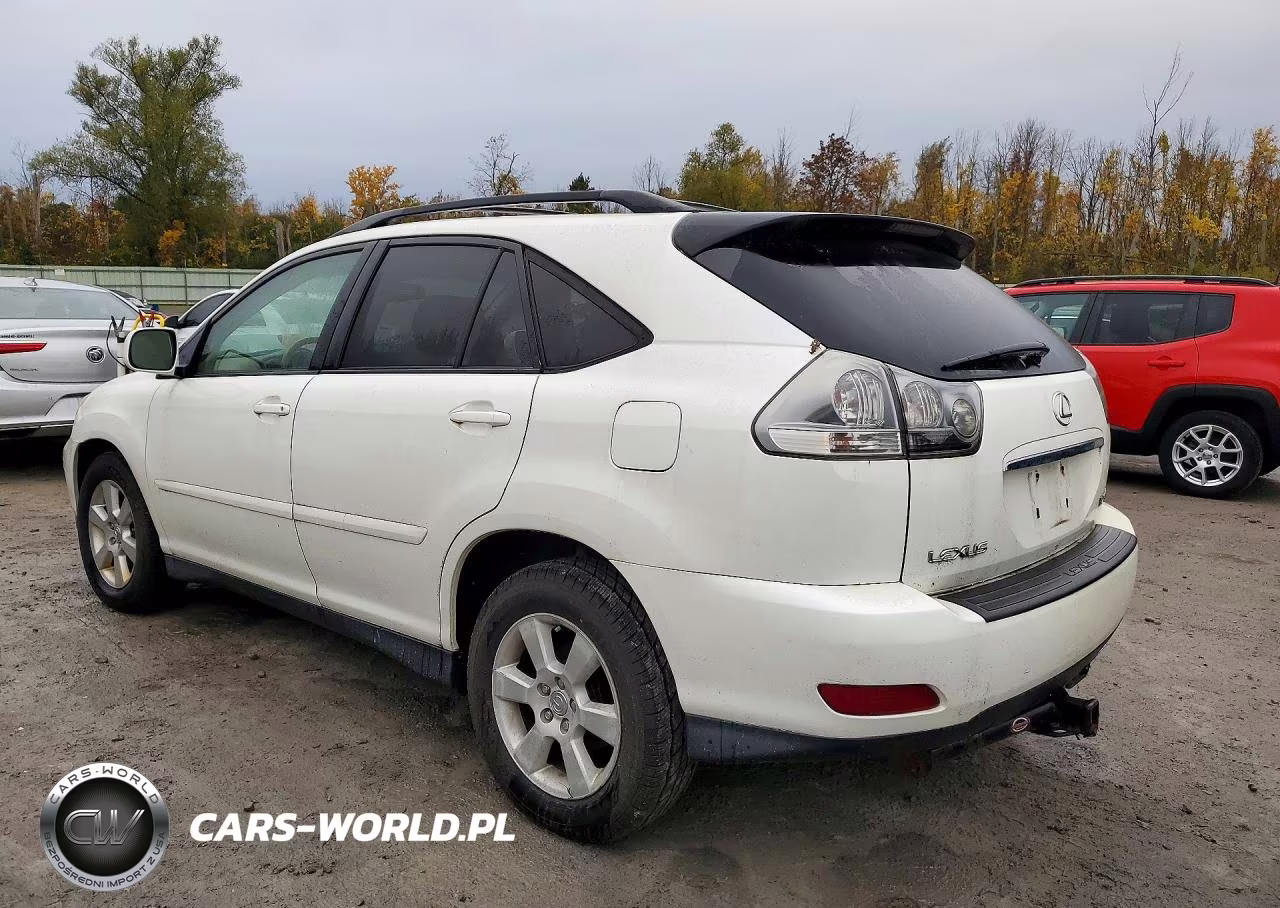 2004 Lexus Rx 330 VIN:JTJHA31U540018354 - 2