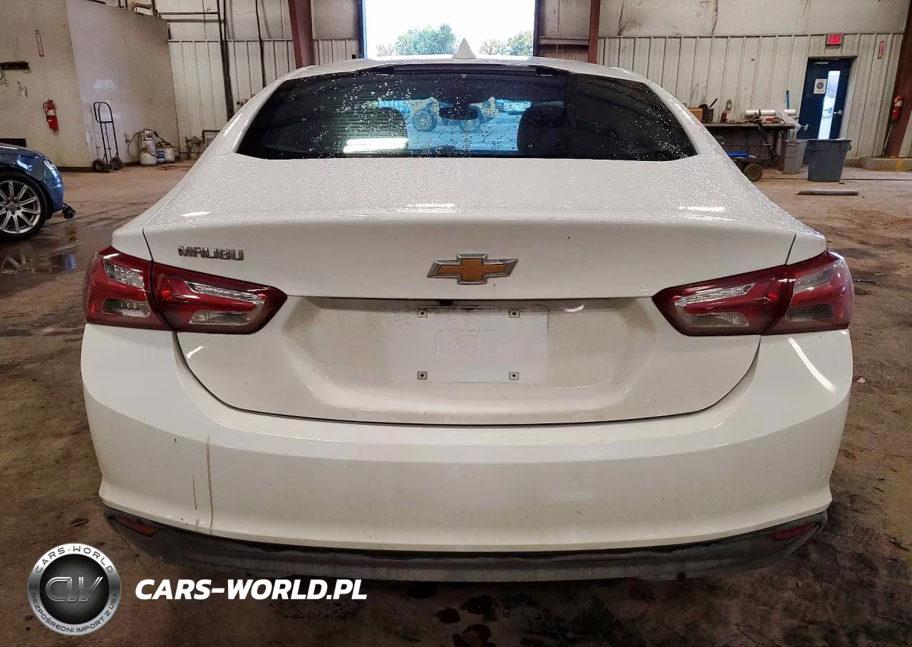 2019 Chevrolet Malibu Lt VIN:1G1ZD5ST9KF155283 - 6