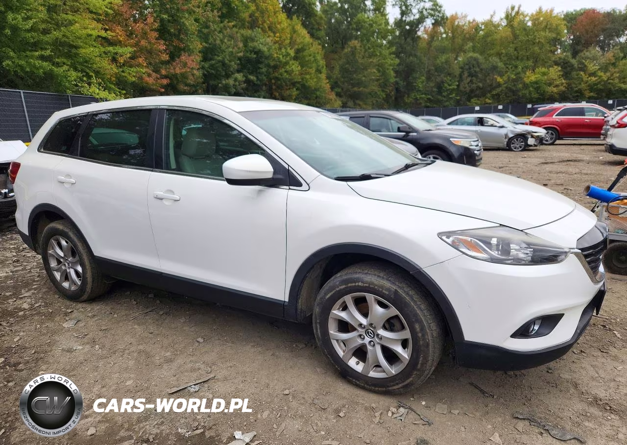 2014 Mazda Cx-9 Touring VIN:JM3TB3CV5E0429844 - 4