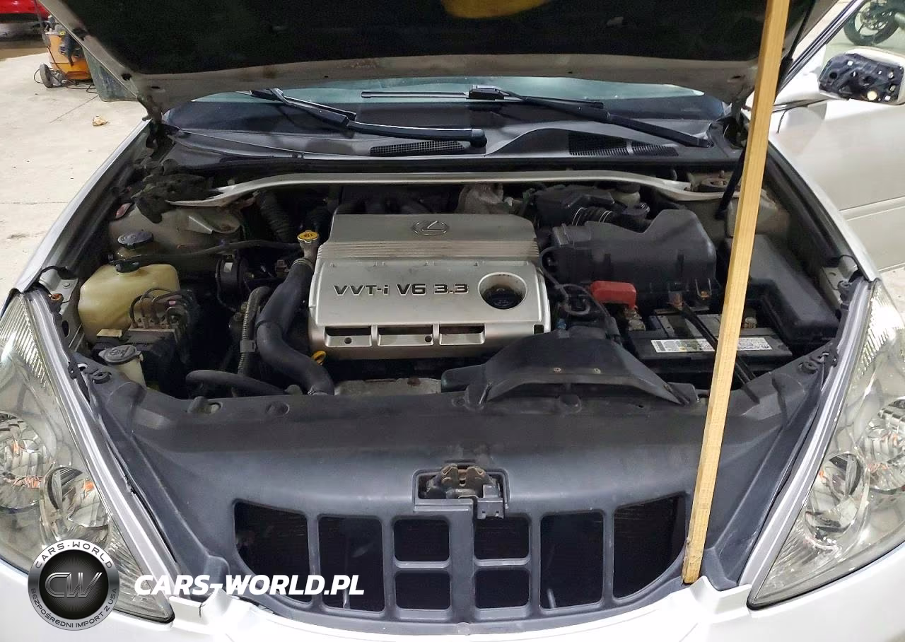 2004 Lexus Es 330 VIN:JTHBA30G540019975 - 11