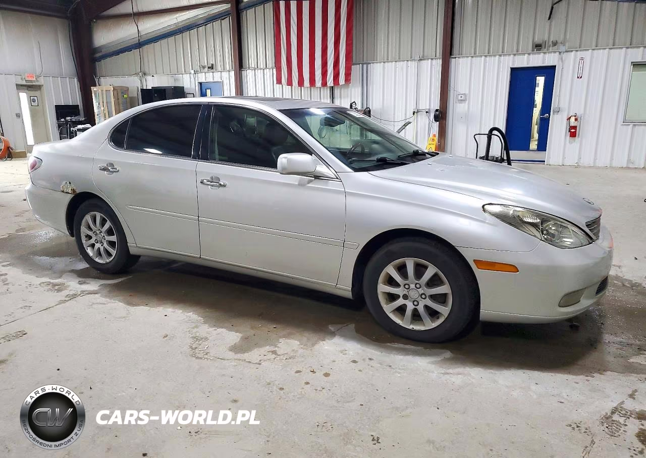 2004 Lexus Es 330 VIN:JTHBA30G540019975 - 4