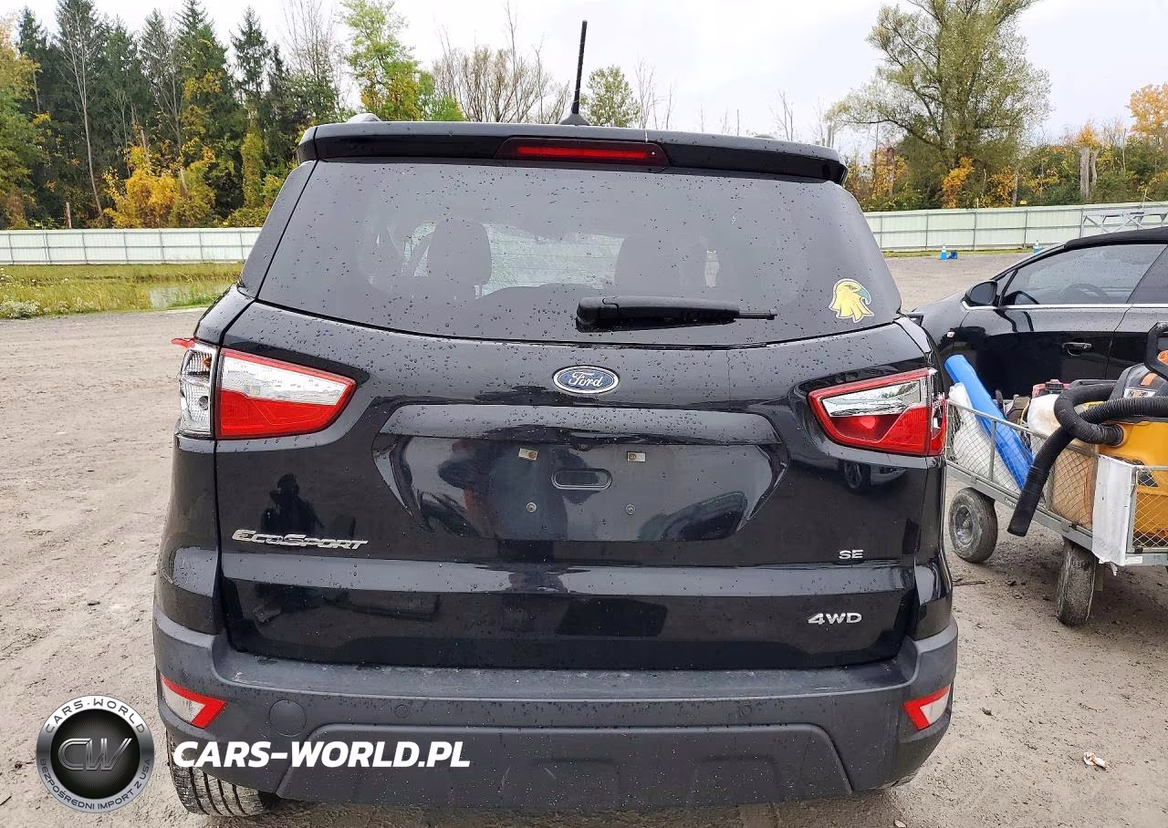 2019 Ford Ecosport Se VIN:MAJ6S3GL2KC291999 - 6