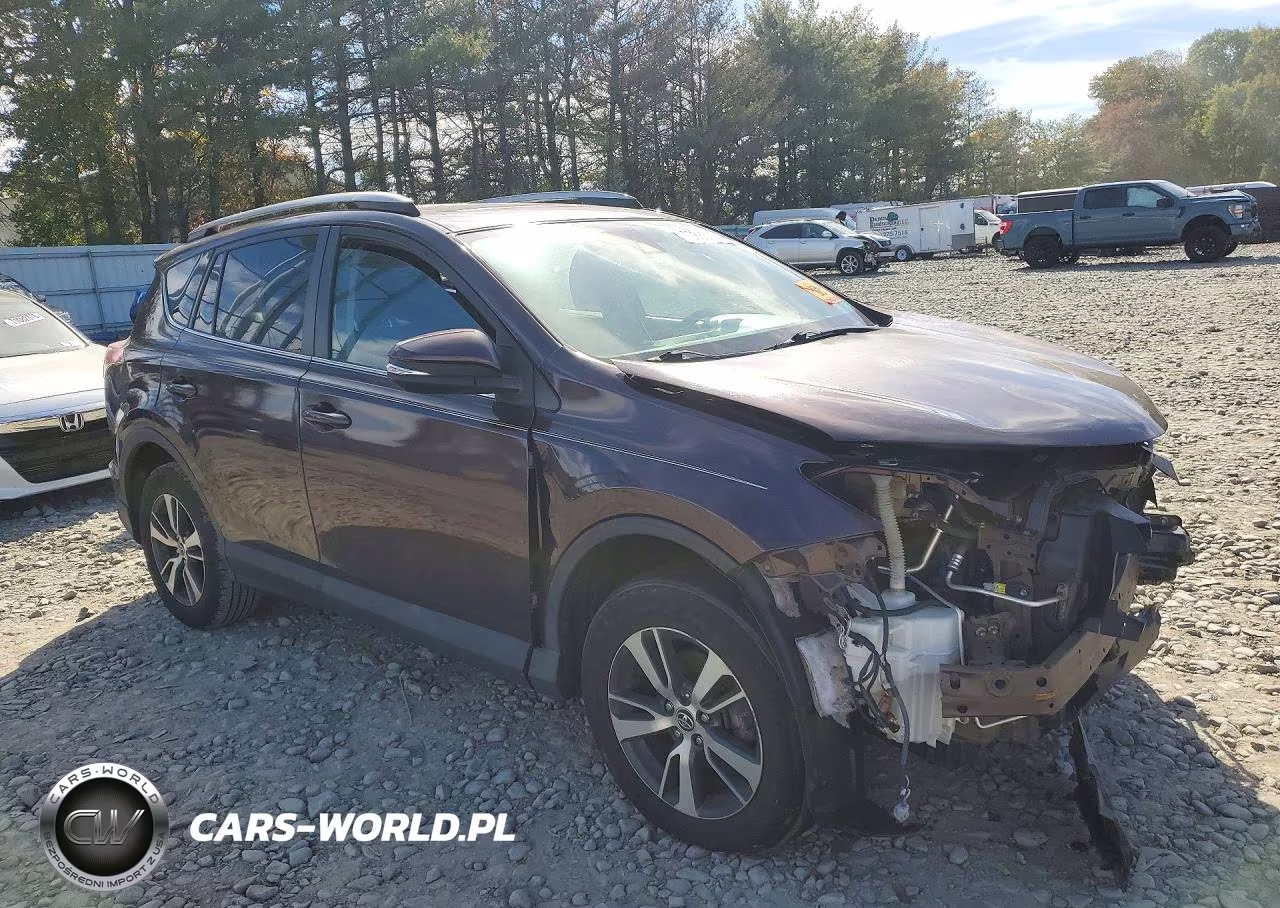 2017 Toyota Rav4 Xle VIN:2T3RFREV4HW655655 - 4