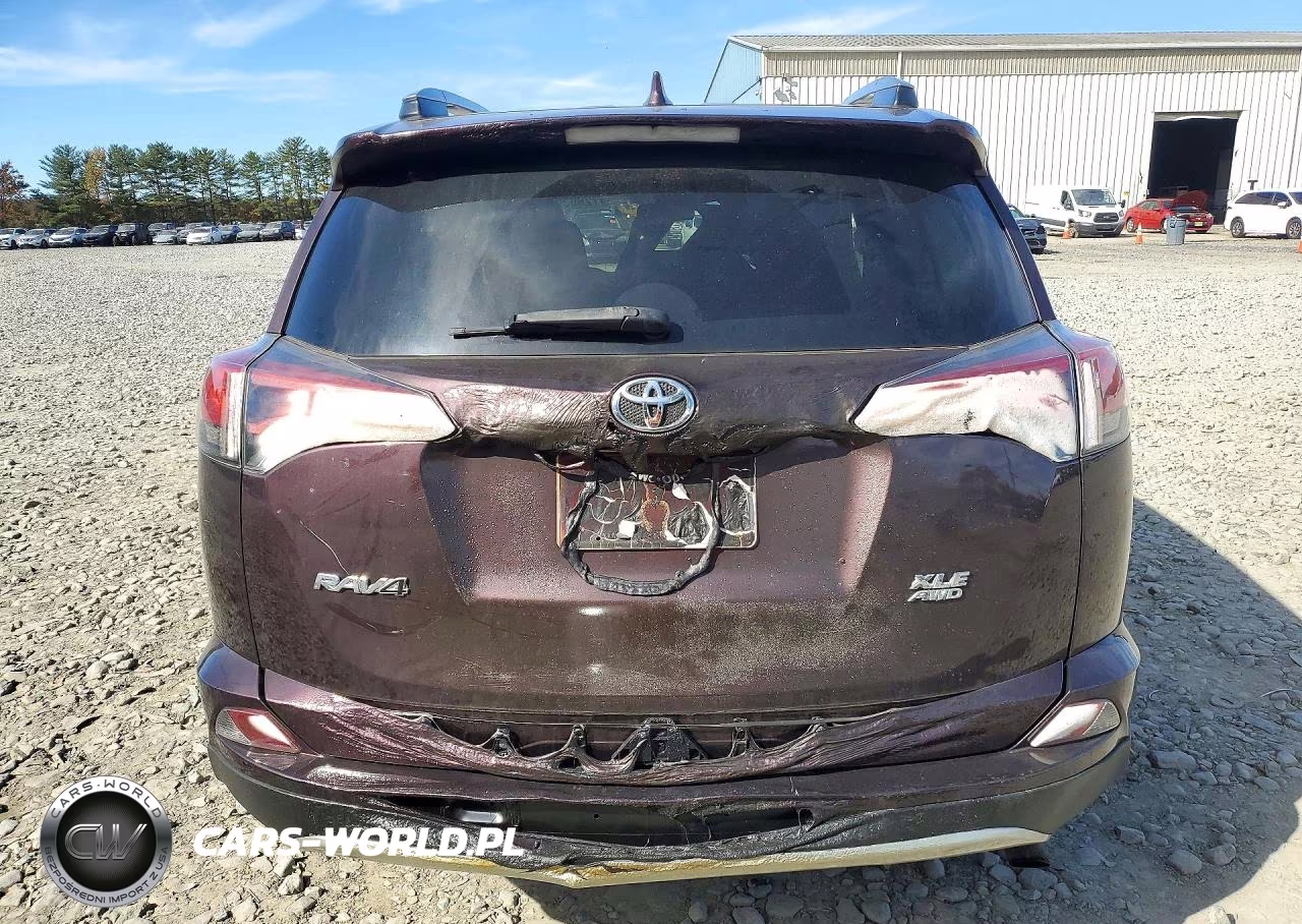 2017 Toyota Rav4 Xle VIN:2T3RFREV4HW655655 - 6