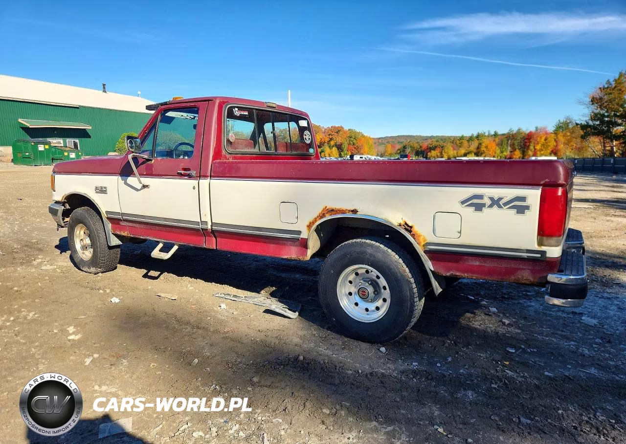 1991 Ford F150 VIN:1FTEF14N1MNA28673 - 2