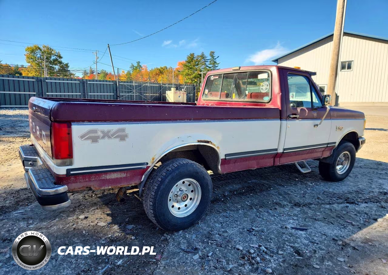 1991 Ford F150 VIN:1FTEF14N1MNA28673 - 3