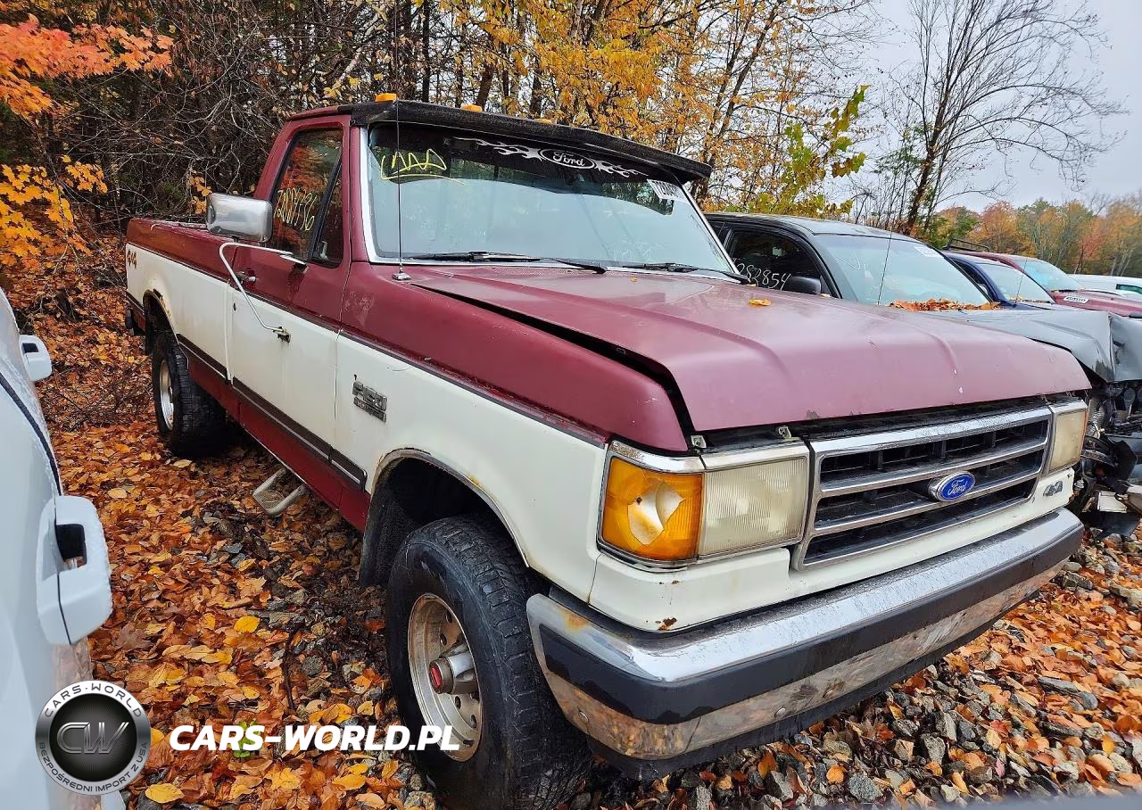 1991 Ford F150 VIN:1FTEF14N1MNA28673 - 4