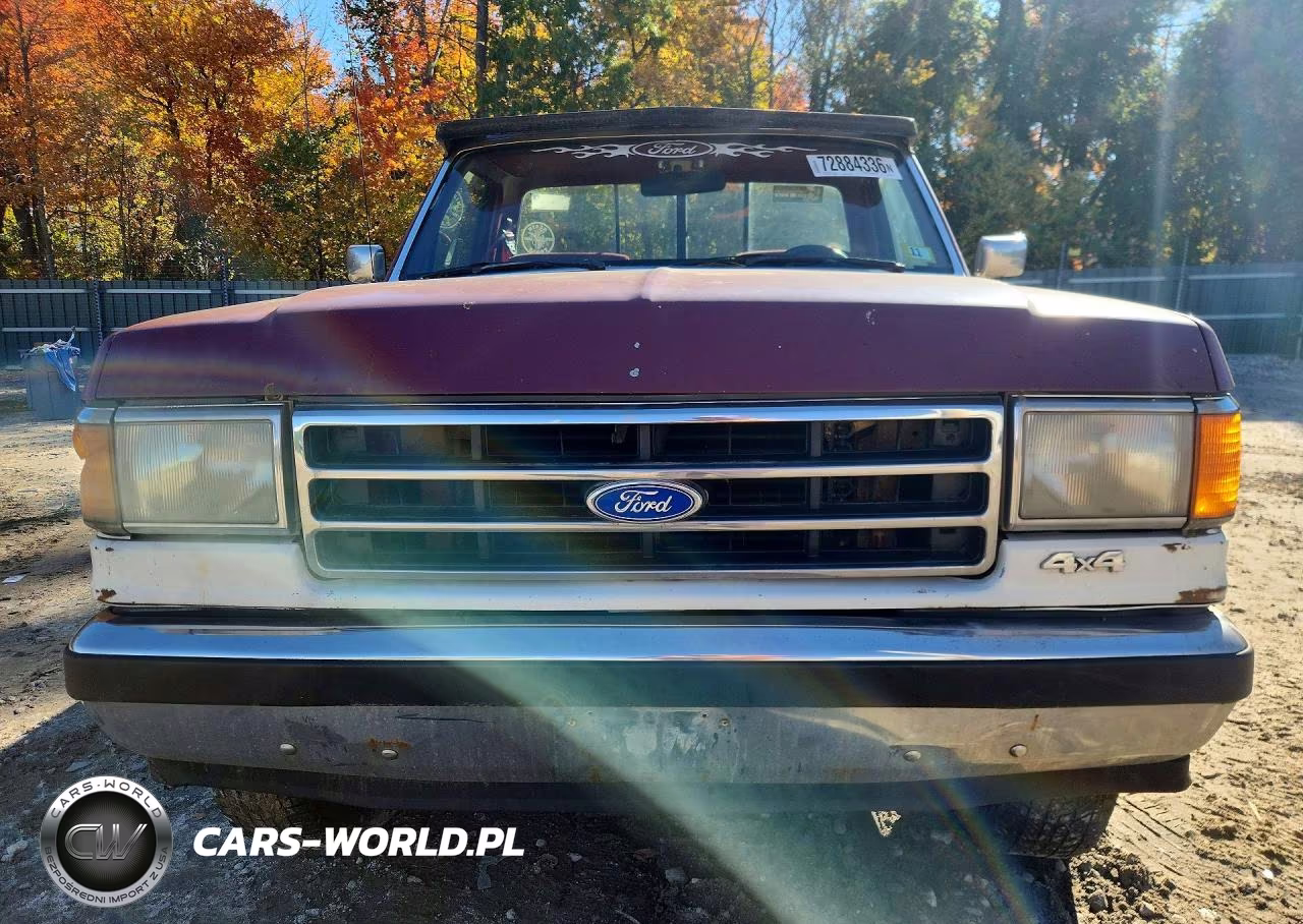 1991 Ford F150 VIN:1FTEF14N1MNA28673 - 5