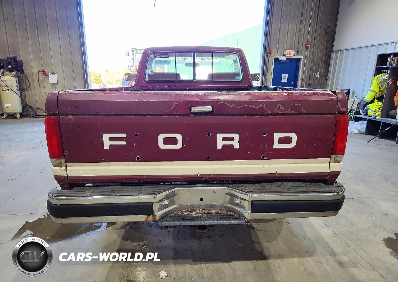 1991 Ford F150 VIN:1FTEF14N1MNA28673 - 6