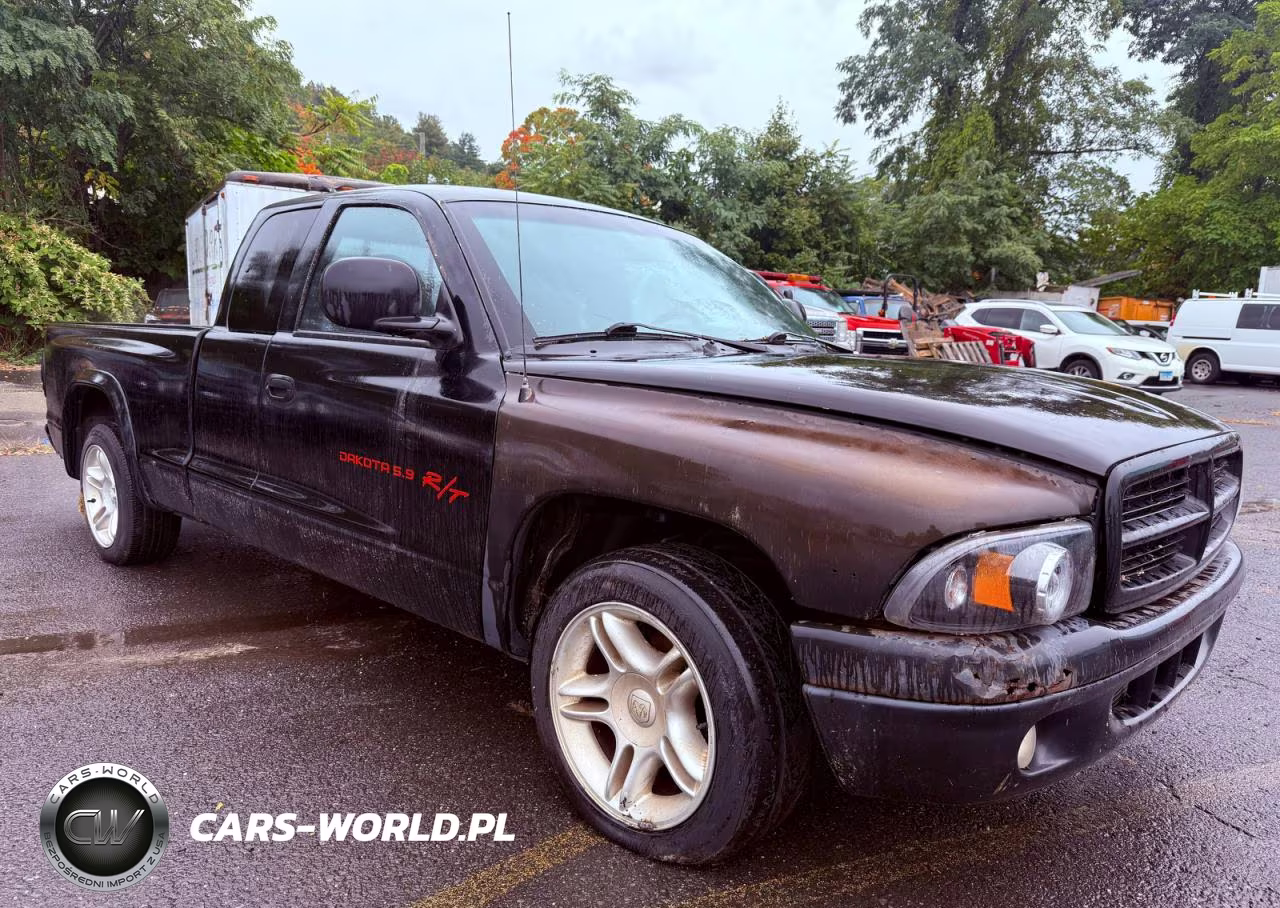 1999 Dodge Dakota VIN:1B7GL22Z1XS254313 - 1