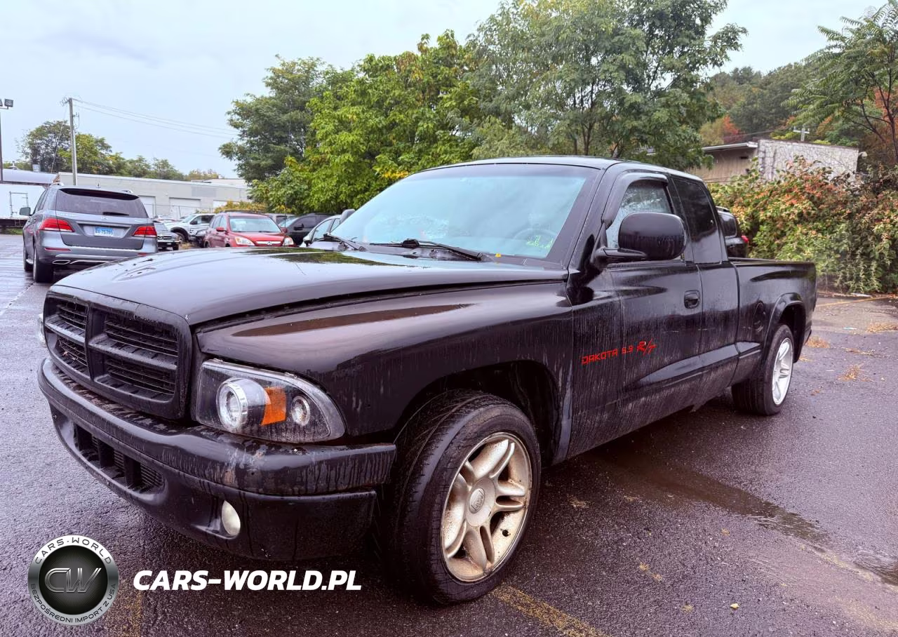 1999 Dodge Dakota VIN:1B7GL22Z1XS254313 - 2