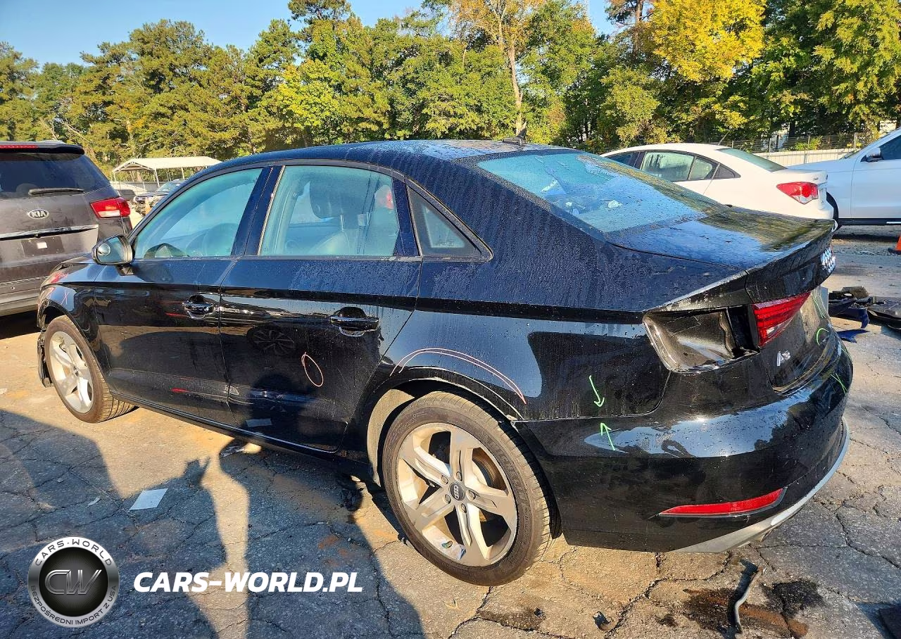 2017 Audi A3 Premium VIN:WAUAUGFF3H1057065 - 2