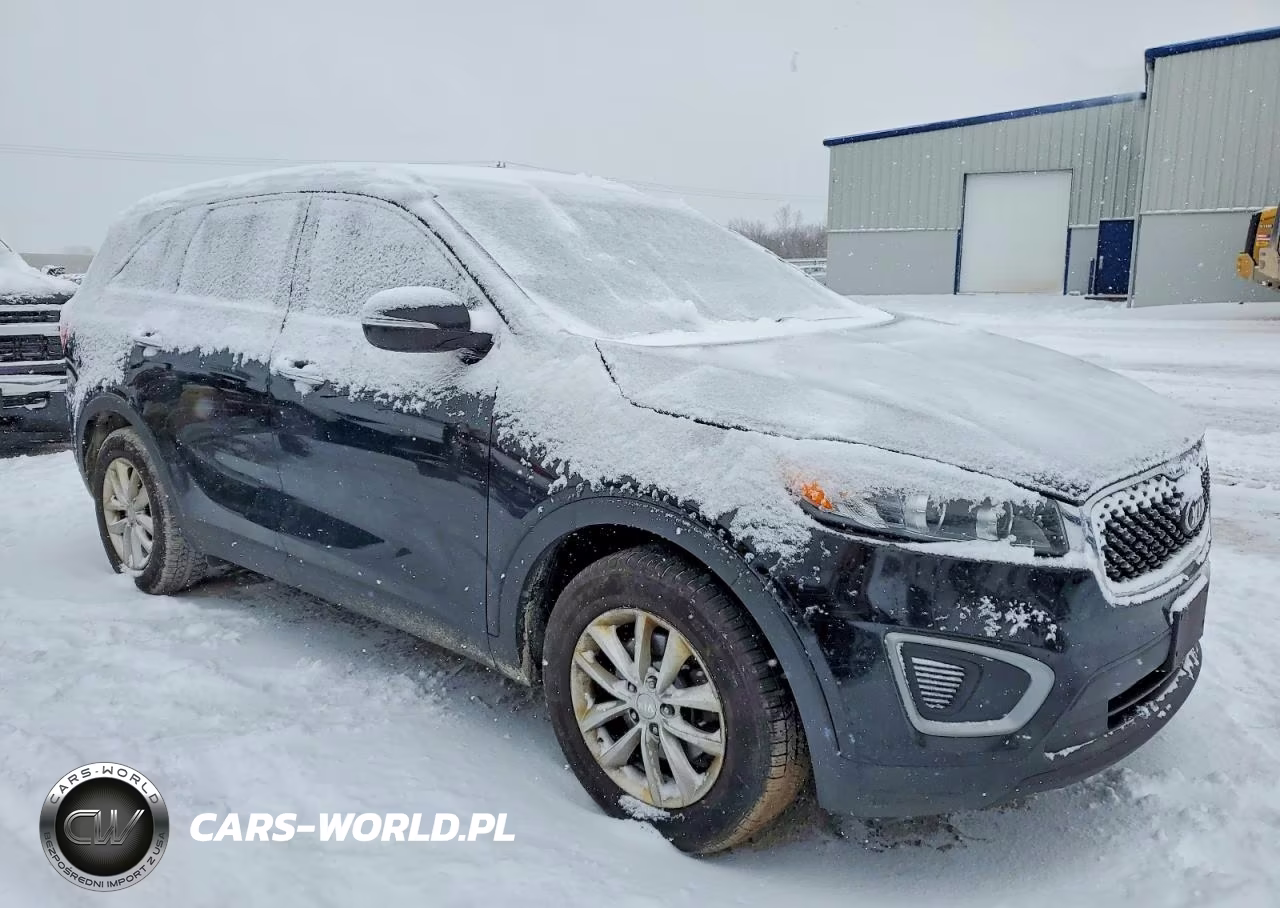 2017 Kia Sorento Lx VIN:5XYPG4A34HG241561 - 4