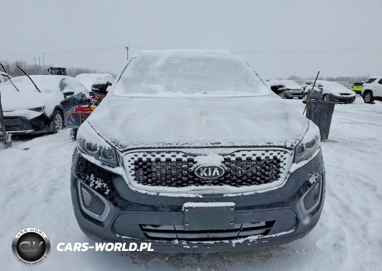 2017 Kia Sorento Lx VIN:5XYPG4A34HG241561 - 5