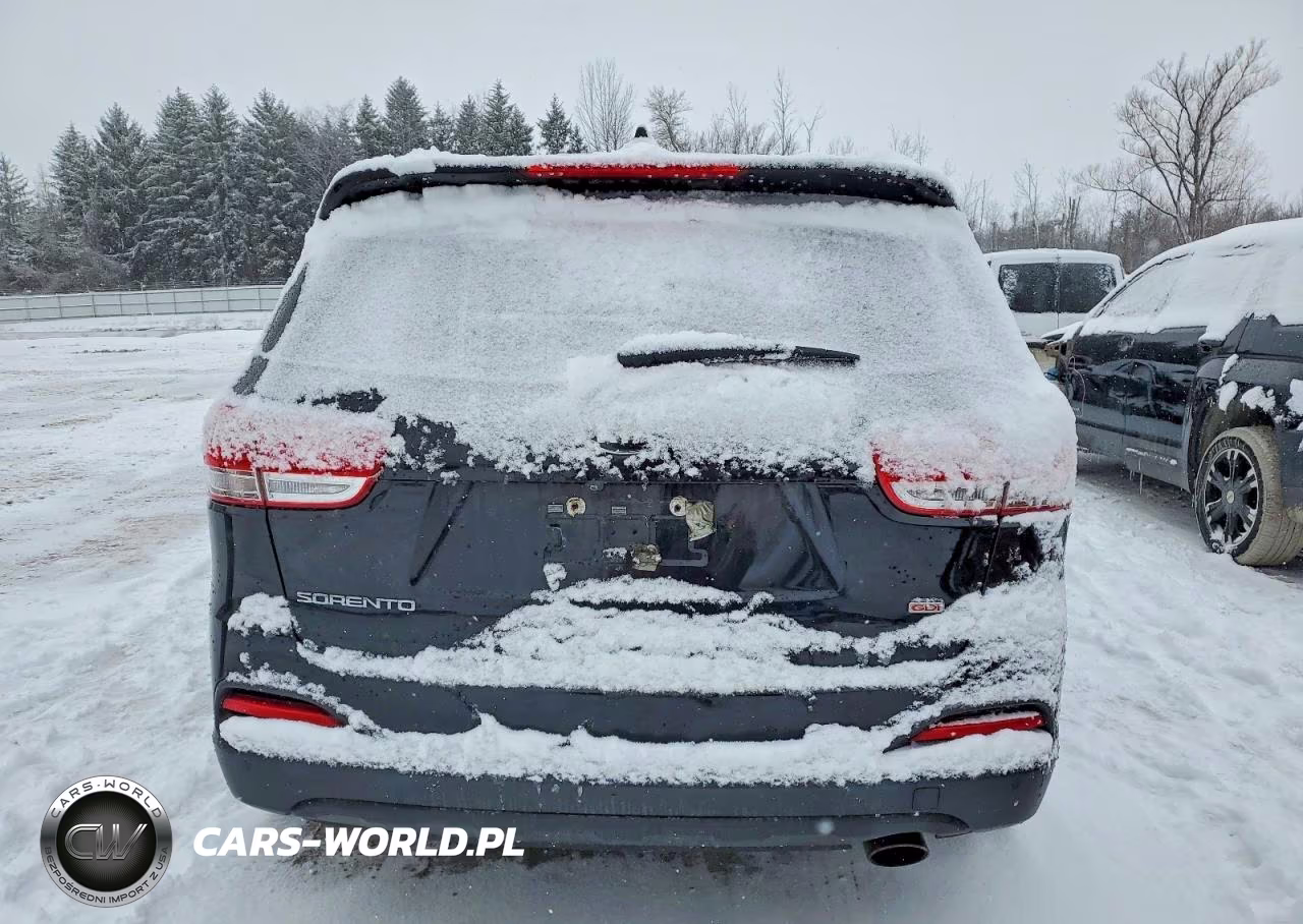 2017 Kia Sorento Lx VIN:5XYPG4A34HG241561 - 6