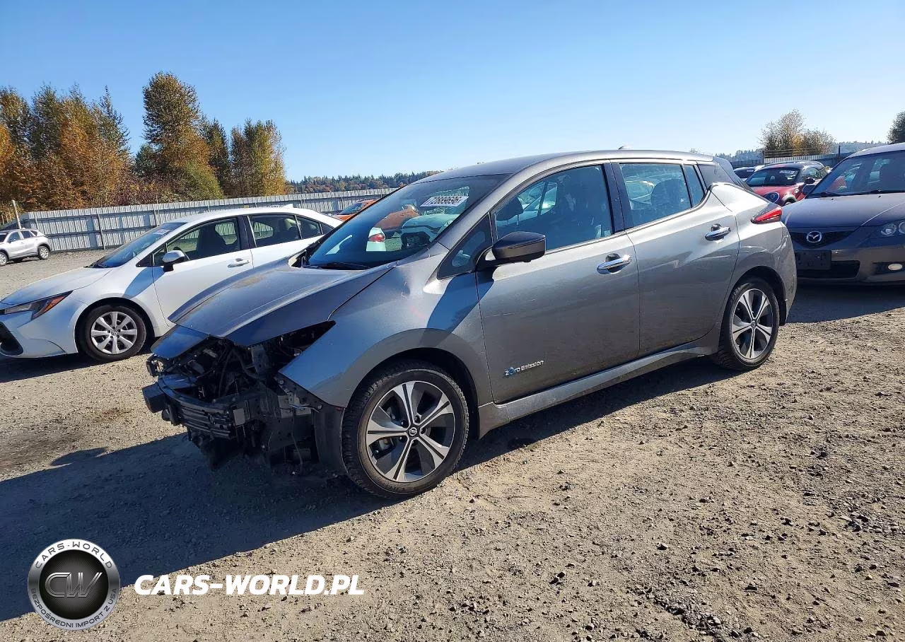 2019 Nissan Leaf Sl Plus