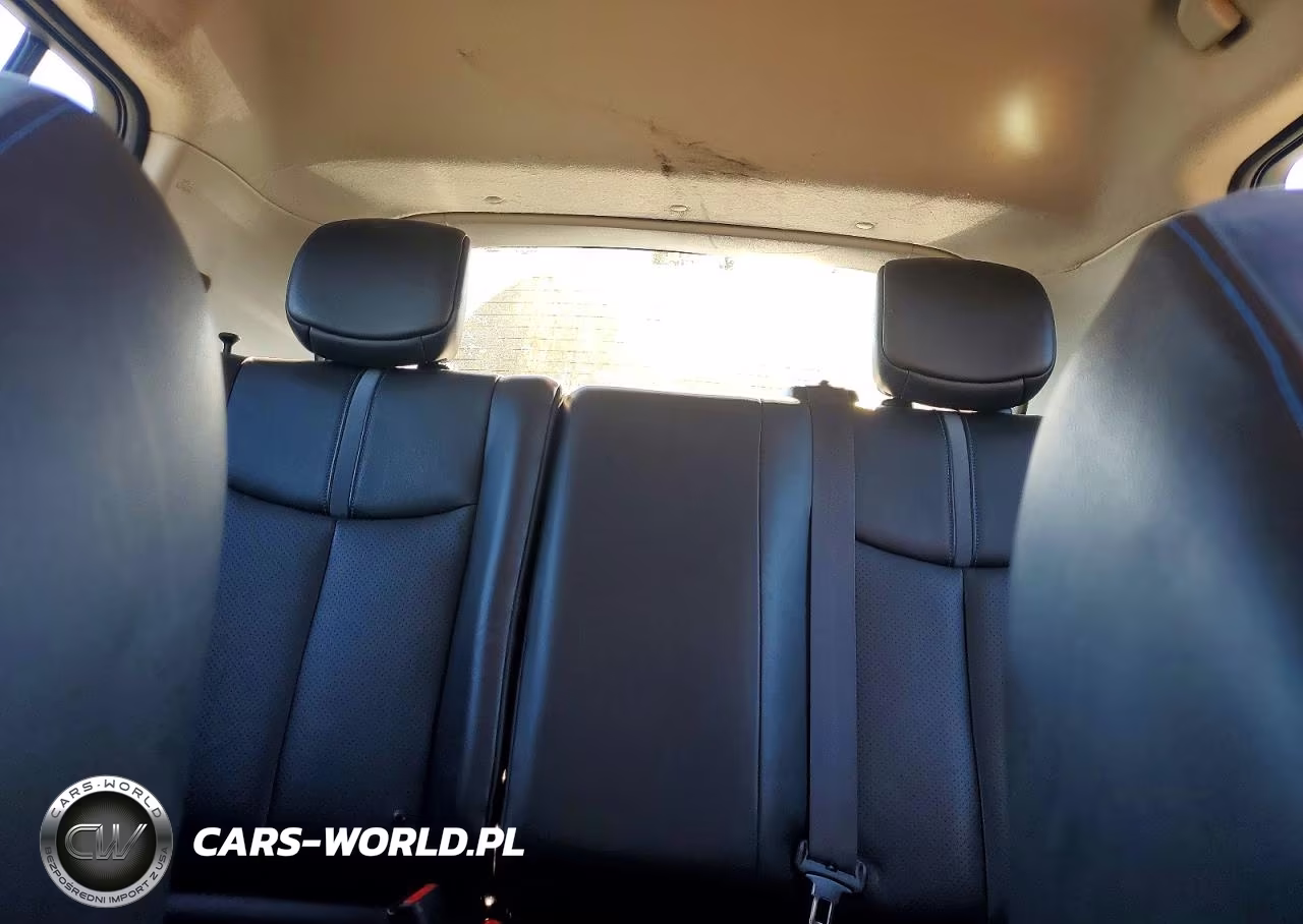 2019 Nissan Leaf Sl Plus VIN:1N4BZ1CP1KC318164 - 10