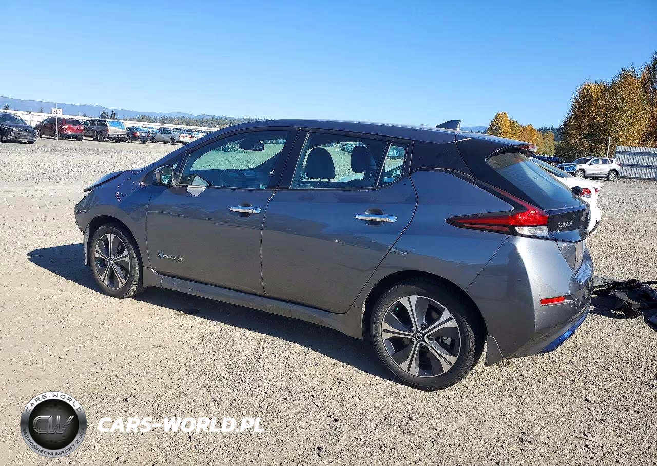 2019 Nissan Leaf Sl Plus VIN:1N4BZ1CP1KC318164 - 2
