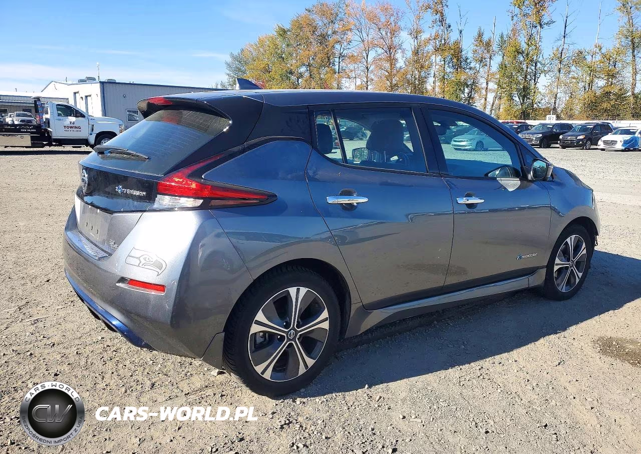 2019 Nissan Leaf Sl Plus VIN:1N4BZ1CP1KC318164 - 3