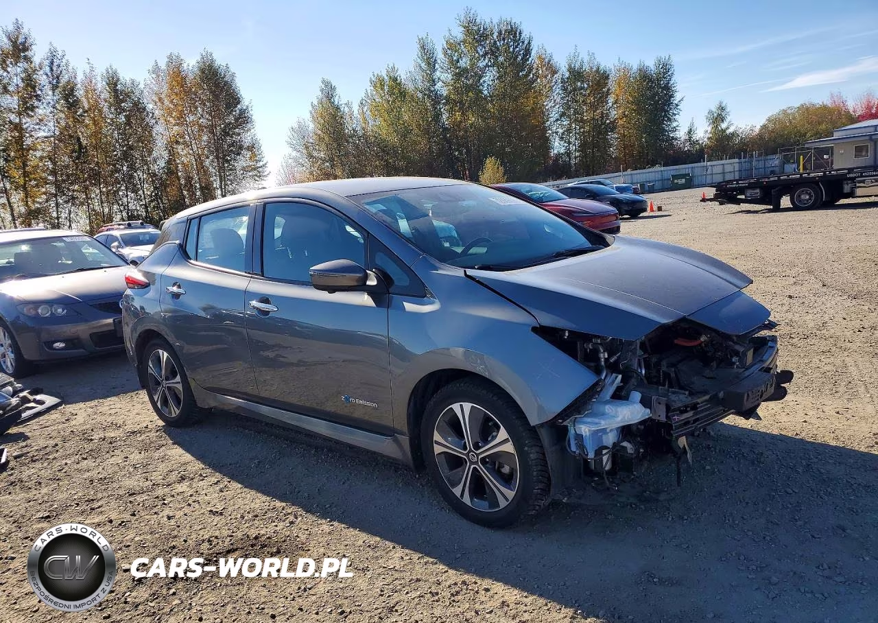 2019 Nissan Leaf Sl Plus VIN:1N4BZ1CP1KC318164 - 4