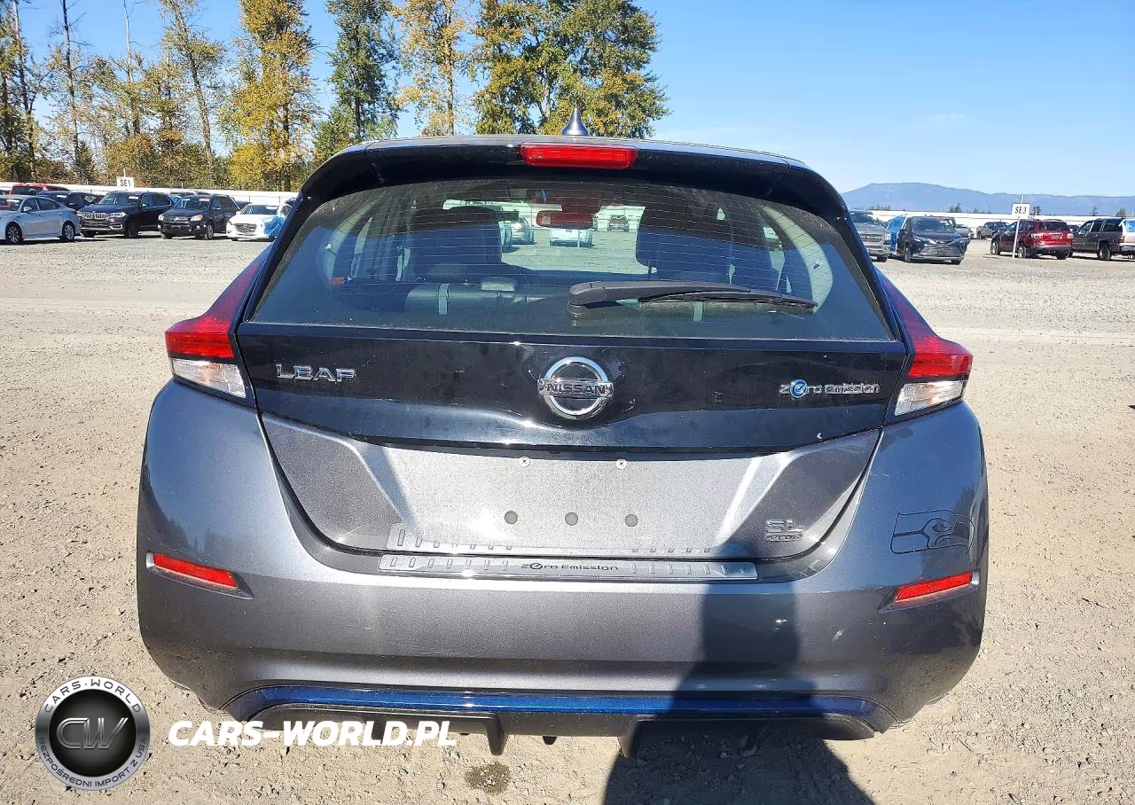2019 Nissan Leaf Sl Plus VIN:1N4BZ1CP1KC318164 - 6