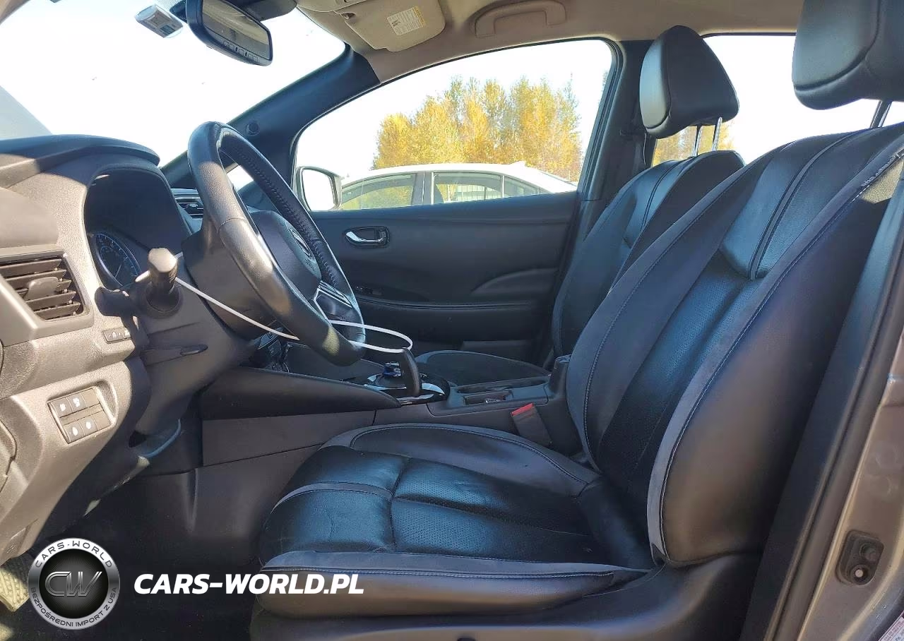 2019 Nissan Leaf Sl Plus VIN:1N4BZ1CP1KC318164 - 7