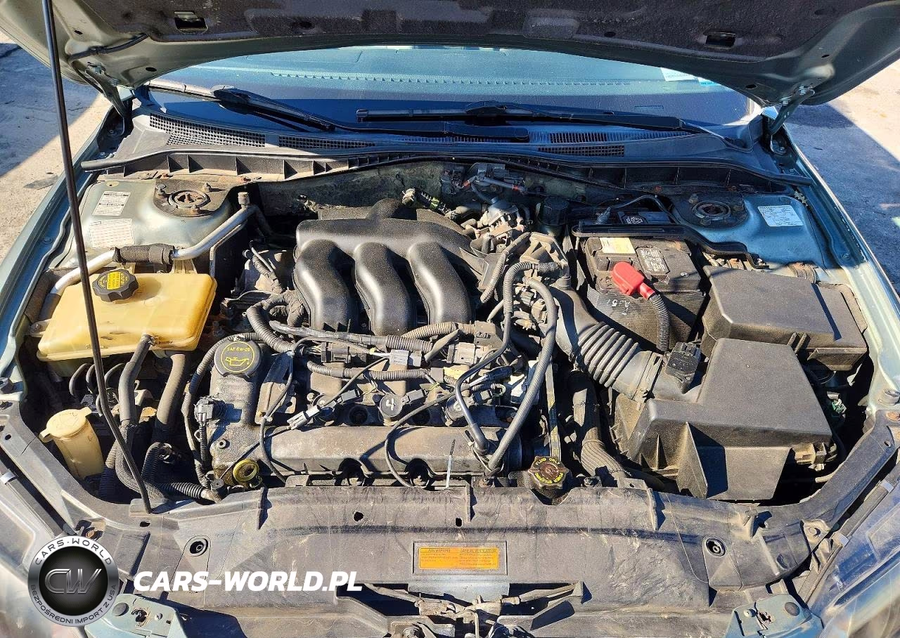 2004 Mazda 6 S VIN:1YVHP82D845N54791 - 11