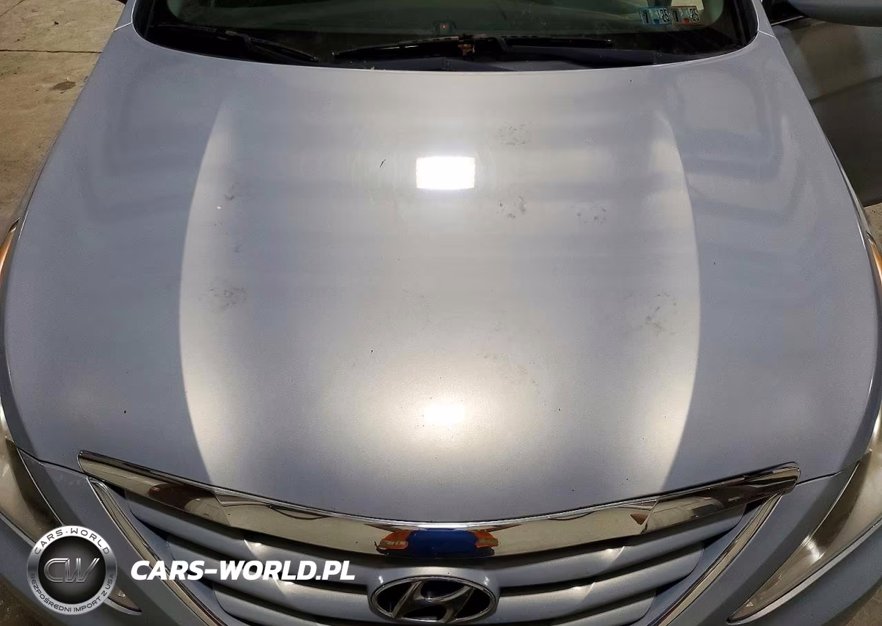 2012 Hyundai Sonata Gls VIN:5NPEB4AC1CH369571 - 11