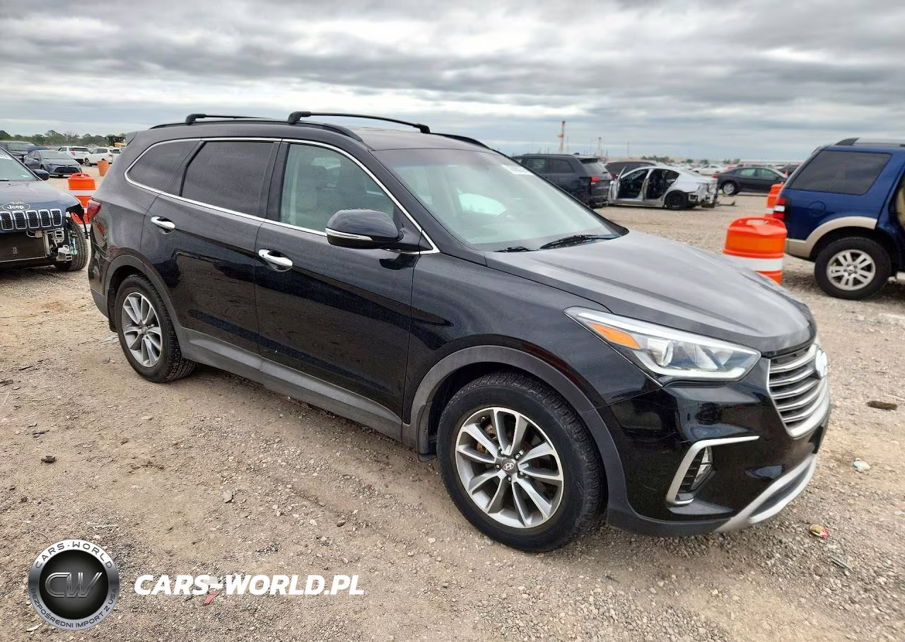 2017 Hyundai Santa Fe Se VIN:KM8SN4HF5HU248898 - 4