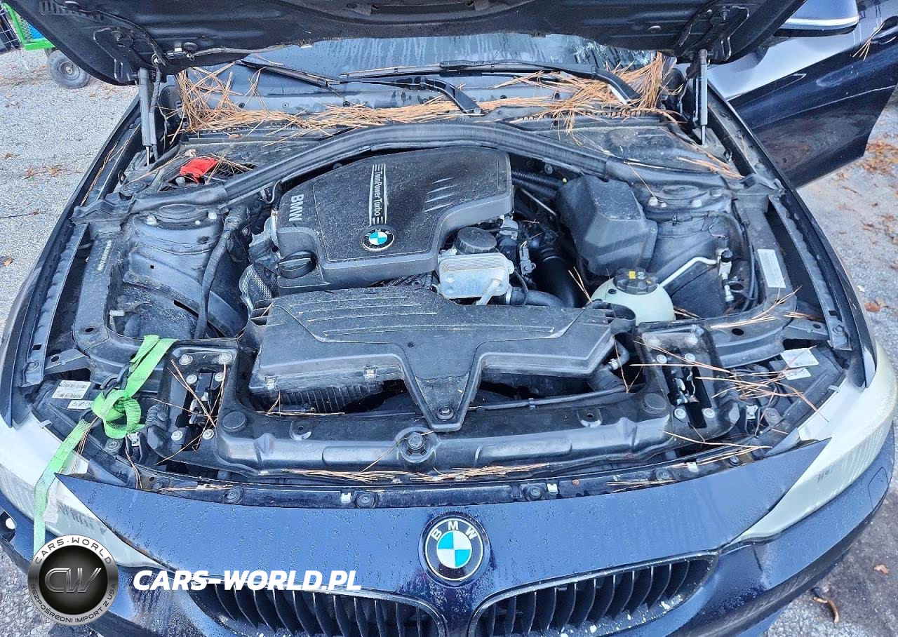 2016 BMW 428 Xi Gran Coupe Sulev VIN:WBA4C9C52GG137489 - 11