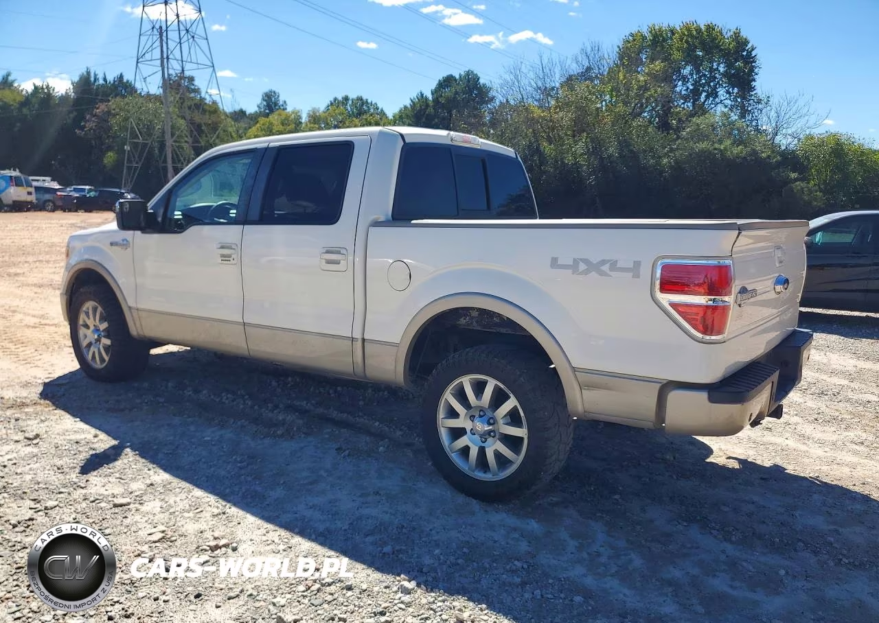 2009 Ford F-150 Fx4-King Ranch-Lariat-Platinum-Xl-Xlt VIN:1FTPW14V59KB98553 - 2