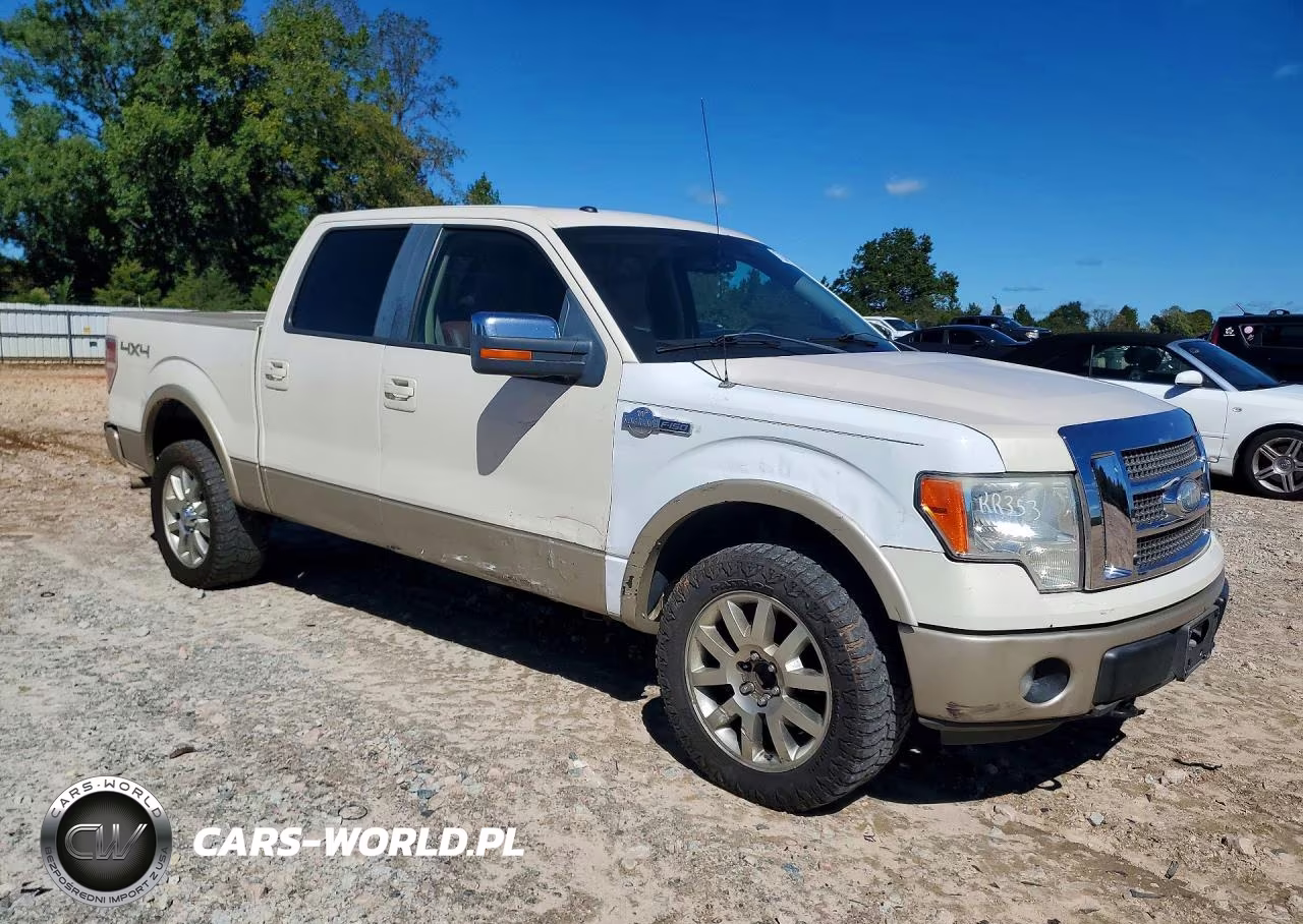 2009 Ford F-150 Fx4-King Ranch-Lariat-Platinum-Xl-Xlt VIN:1FTPW14V59KB98553 - 4